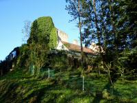 Blick zur Ruine der ehemaligen Wallfahrtskirche Sieben Schmerzen Mariens in Rafingsberg