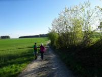  Blick auf die Wanderstrecke 