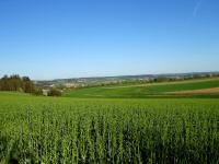  schner Fernblick Richtung Kottschallings 