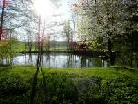  Blick zu einem kleinen Weiher 