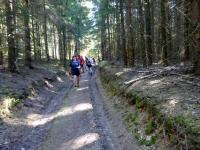 Blick auf die Wanderstrecke zum Predigtstuhl ist auch Rckweg 