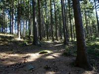 Blick auf die Wanderstrecke zum Predigtstuhl ist auch Rckweg 