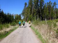  Blick auf die Wanderstrecke 