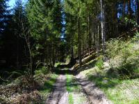  Wanderroute entlang des Kaltenbachs 