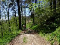 Wanderroure auf dem Kapuzinerkreuzweg in der Auleiten 