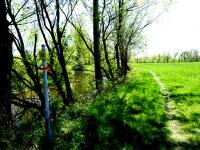 Wanderroute entlang der Thaya auf dem Kapuzinerkreuzweg 