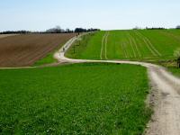  Blick auf die Wanderstrecke 