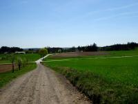 Blick auf die Wanderstrecke und weiter nach Edengans 