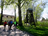 Blick auf die Wanderstrecke in Grnau beim Glockenturm 