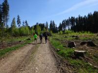  Wanderroute durch den Schacherwald 