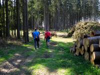  Wanderroute durch den Schacherwald 