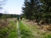  Wanderroute durch den Schacherwald 