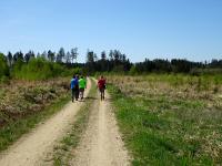  Wanderroute durch den Schacherwald 