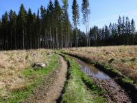  Wanderroute durch den Schacherwald 