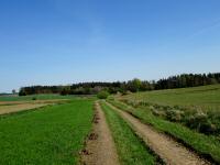  Blick auf die Wanderstrecke 