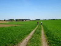 Wanderroute durch die Riede Brhl 