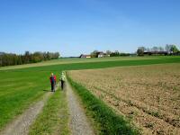  Wanderroute durch die Riede Brhl 