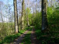  Wanderroute zum Brhlteich 