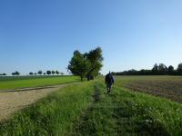  Blick auf die Wanderstrecke 