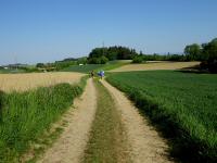  Blick auf die Wanderstrecke 