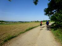  Blick auf die Wanderstrecke 