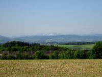 Herrlicher Fernblick zu den Kalkalpen mit dem Sengsengebirge 