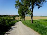  Blick auf die Wanderstrecke 