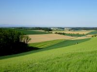  sehr schner Fernblick 