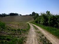  Blick auf die Wanderstrecke 