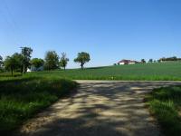  Blick auf die Wanderstrecke bei der L6255 