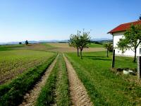  Blick auf die Wanderstrecke 