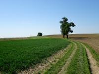  Blick auf die Wanderstrecke 