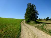  Blick auf die Wanderstrecke 