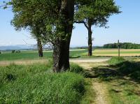  Blick auf die Wanderstrecke 