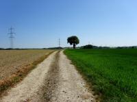  Wanderroute zur Gehftgruppe Adelberg 