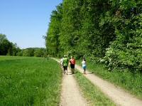  Blick auf die Wanderstrecke 