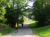 Wanderroute mit Gegenverkehr bei der Rotte Schlgelwiese 