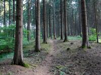  Blick auf die Wanderstrecke 