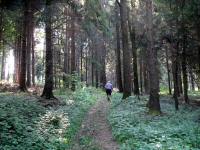 Blick auf die Wanderstreceke 