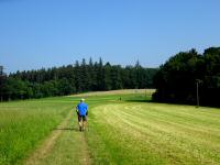  Blick auf die Wanderstrecke 