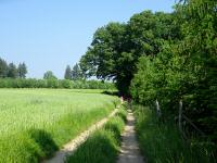  Blick auf die Wanderstrecke 