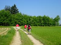  Blick auf die Wanderstrecke 