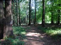  Blick auf die Wanderstrecke 