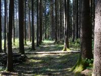  Blick auf die Wanderstrecke 