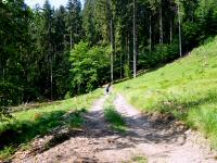  Blick auf die Wanderstrecke 