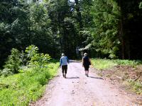  Blick auf die Wanderstrecke 