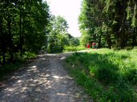 Blick auf die Wanderstrecke bei der Streckenzusammenfhrung 