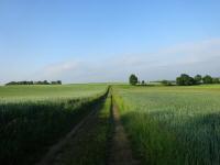  Wanderroute durch die Riede Gnscker 