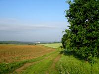 Wanderroute durch die Riede Gnscker mit Fernblick zum Renaissanceschloss Rosenburg 