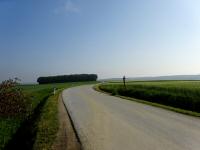 Blick auf die Wanderstrecke beim Hahn-Kreuz an der L8002 